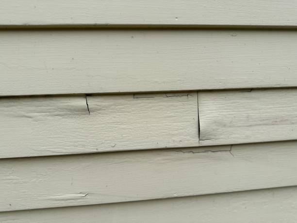 Best Storm Damage Siding Repair  in Birngham, MI